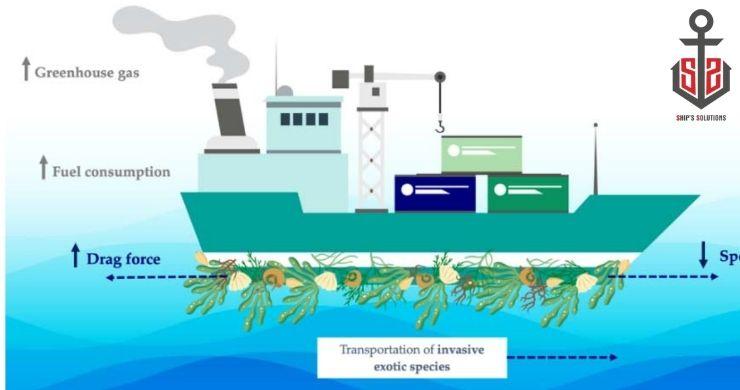 The Environmental Benefits of Modern Marine Coatings and Antifouling Systems